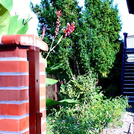 Goscinny Zakatek Torun Ngoại thất bức ảnh